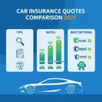 How to Compare Car Insurance Quotes in 2025: Tips, Rates, and the Best Options